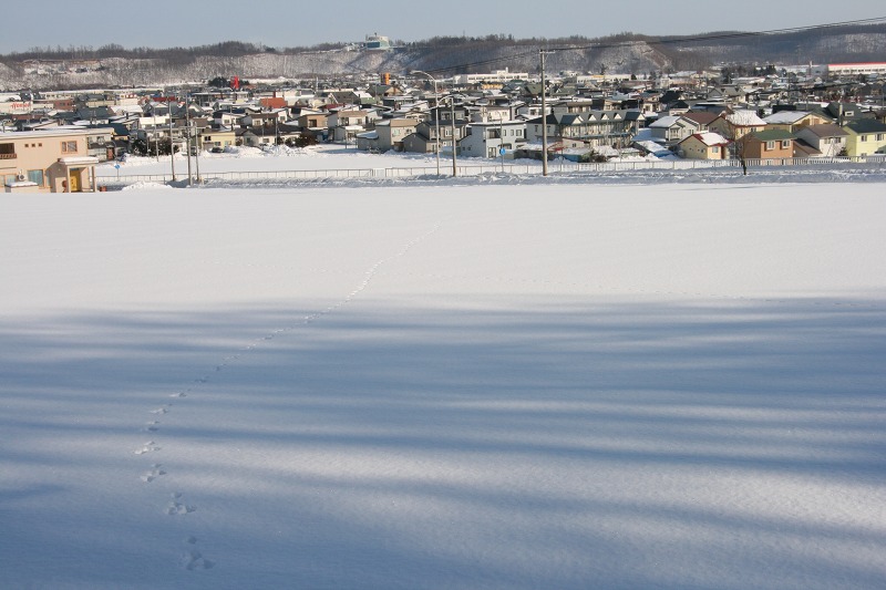 ファイル 10-1.jpg