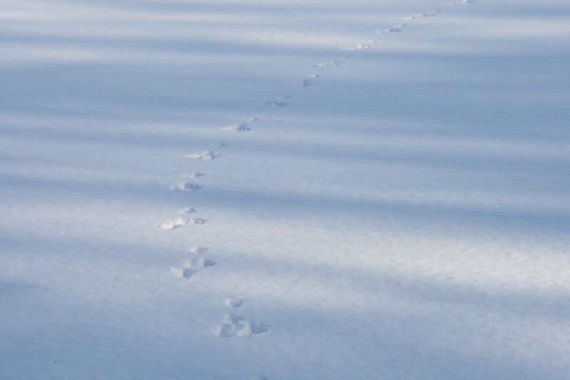 ファイル 10-2.jpg