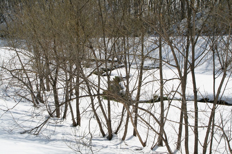 ファイル 100-2.jpg