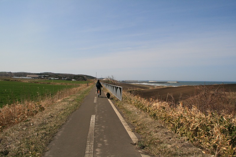 ファイル 101-1.jpg