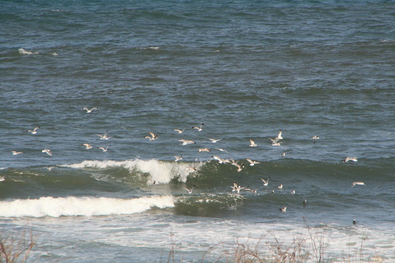 ファイル 101-5.jpg