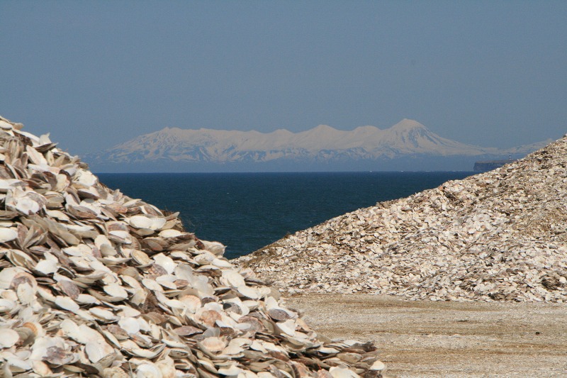 ファイル 102-1.jpg