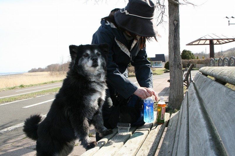 ファイル 102-4.jpg