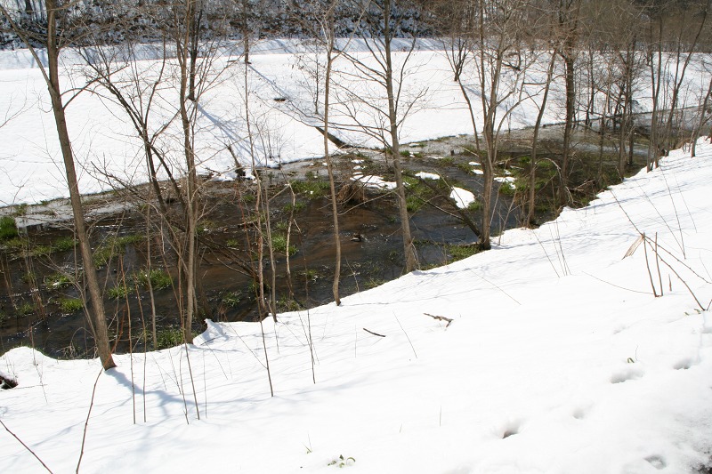 ファイル 103-1.jpg