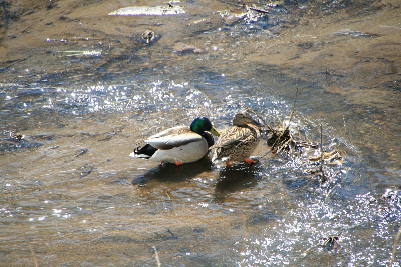 ファイル 103-2.jpg