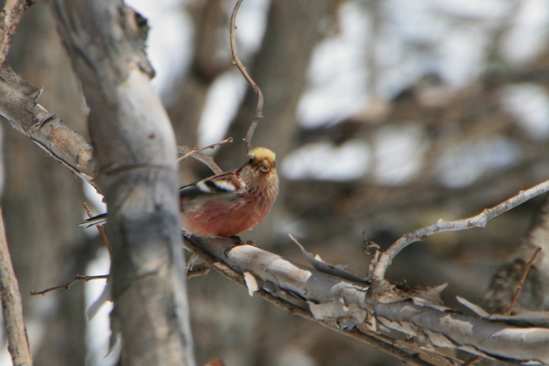 ファイル 103-5.jpg