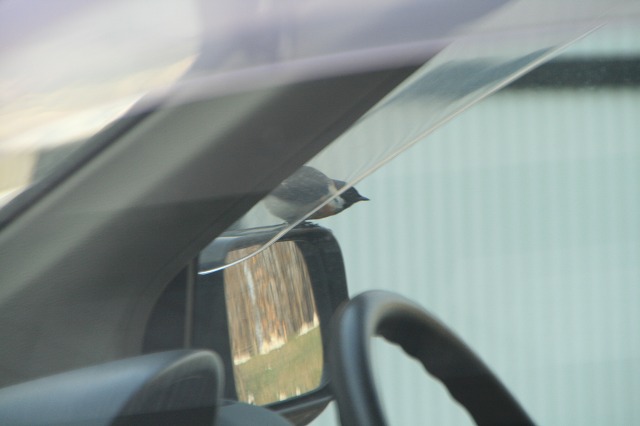 ファイル 104-2.jpg