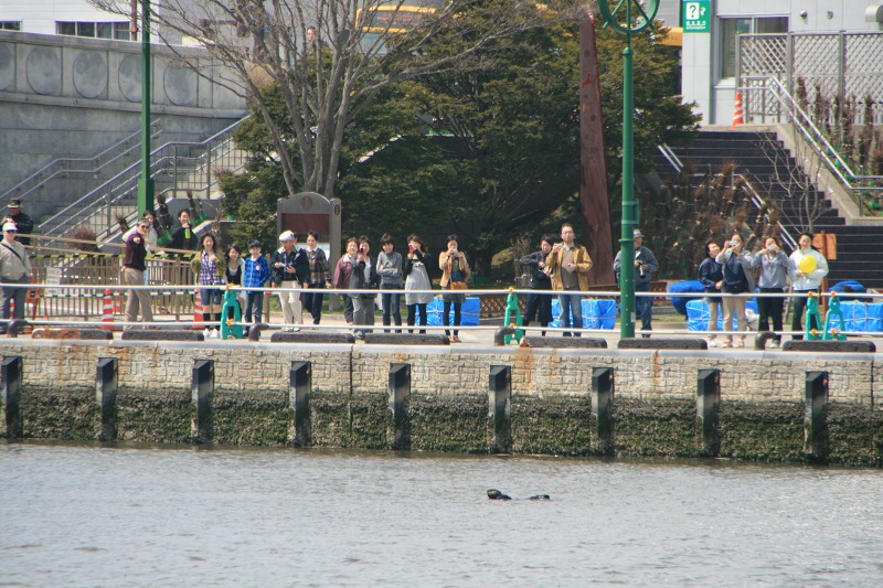 ファイル 105-3.jpg