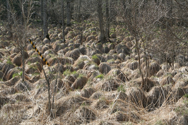 ファイル 106-3.jpg