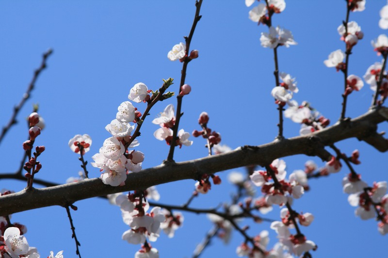 ファイル 107-3.jpg