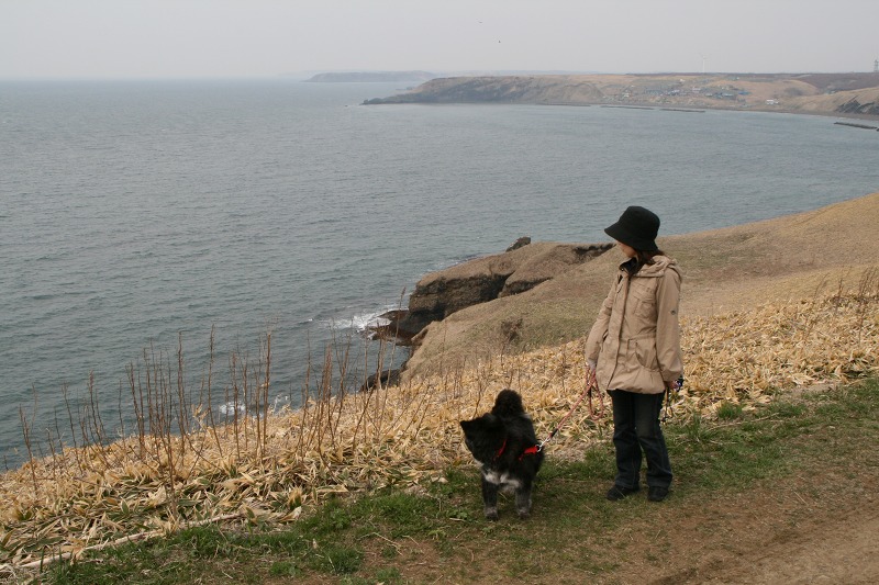 ファイル 108-3.jpg