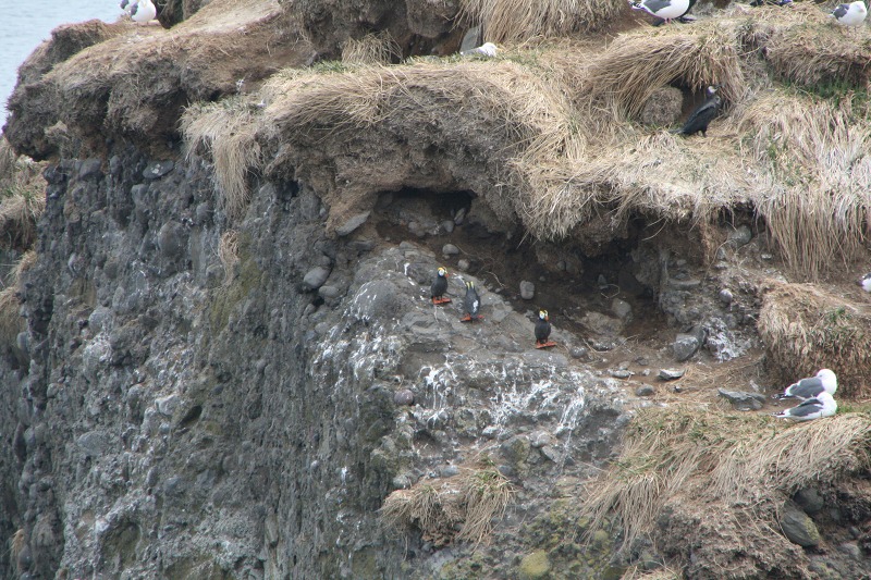 ファイル 109-2.jpg