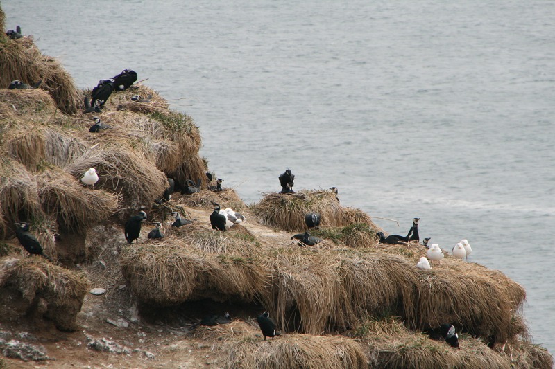 ファイル 109-3.jpg