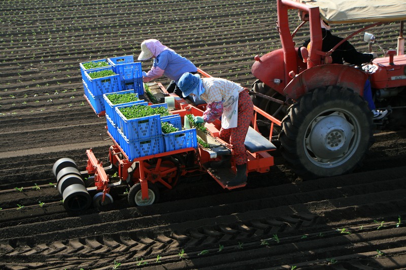 ファイル 110-1.jpg