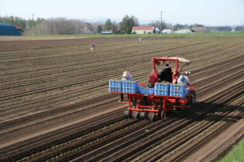 ファイル 110-2.jpg