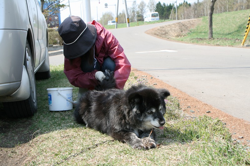 ファイル 111-1.jpg