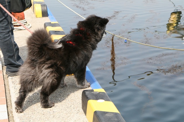 ファイル 111-2.jpg