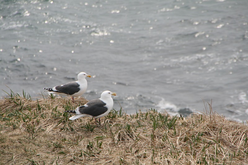 ファイル 112-3.jpg