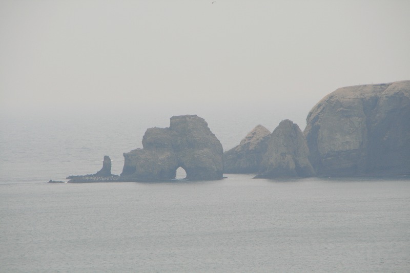 ファイル 113-1.jpg