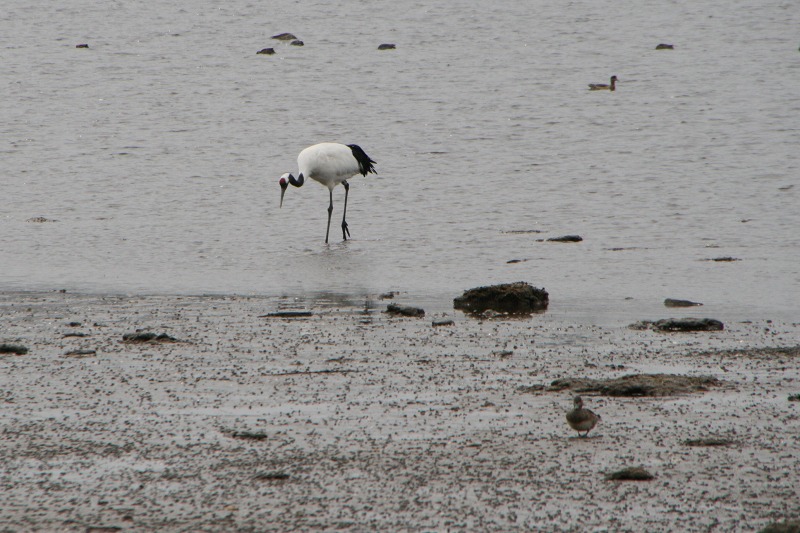 ファイル 114-3.jpg