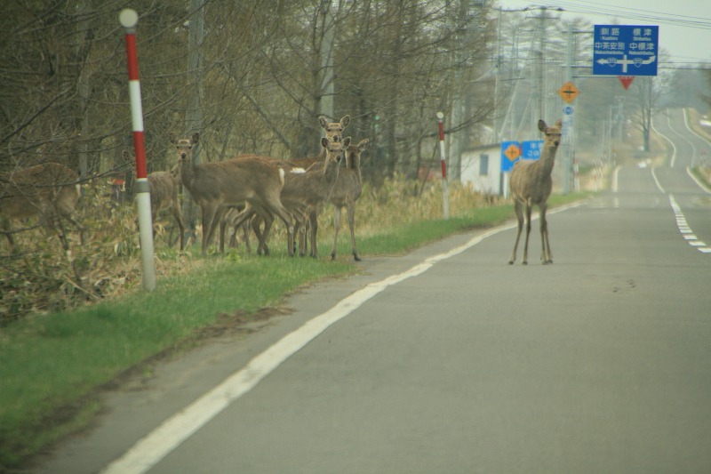 ファイル 116-2.jpg