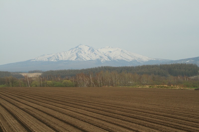 ファイル 116-5.jpg