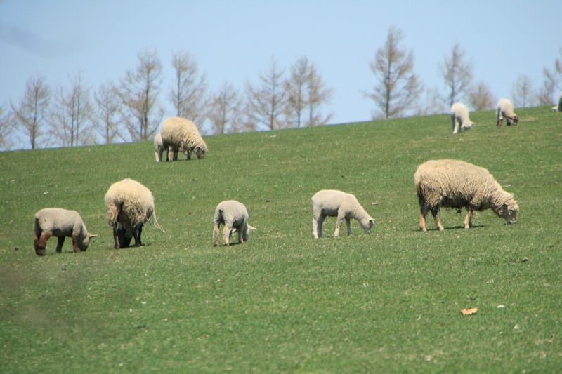 ファイル 117-1.jpg