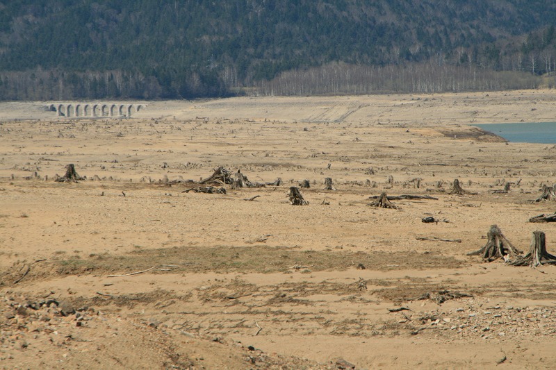 ファイル 118-3.jpg