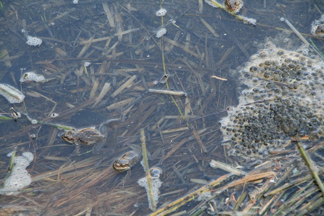 ファイル 119-5.jpg