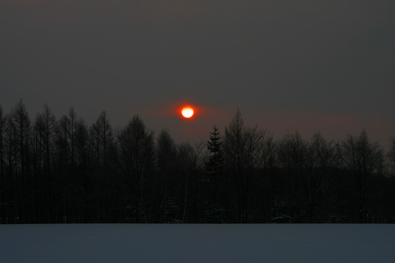 ファイル 12-1.jpg