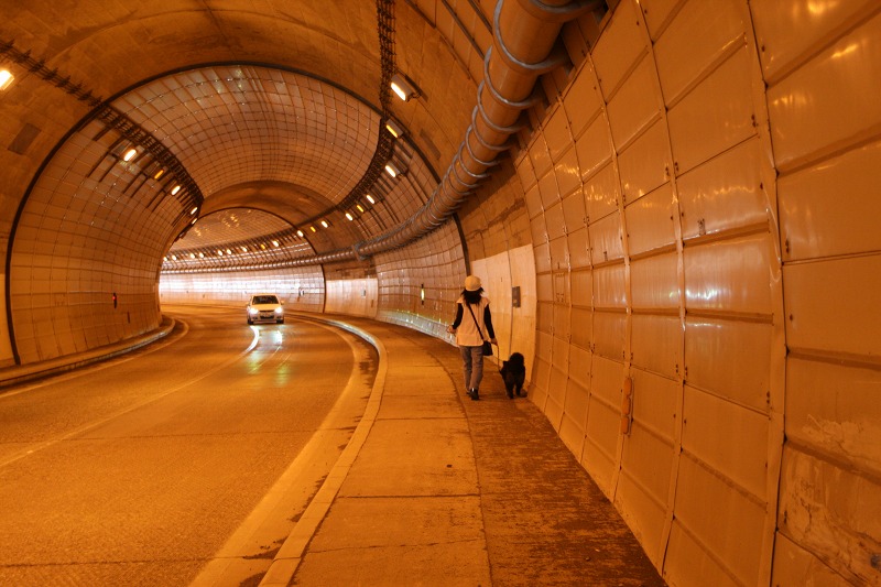 ファイル 120-2.jpg