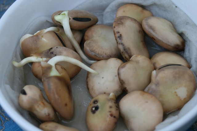 ファイル 121-2.jpg