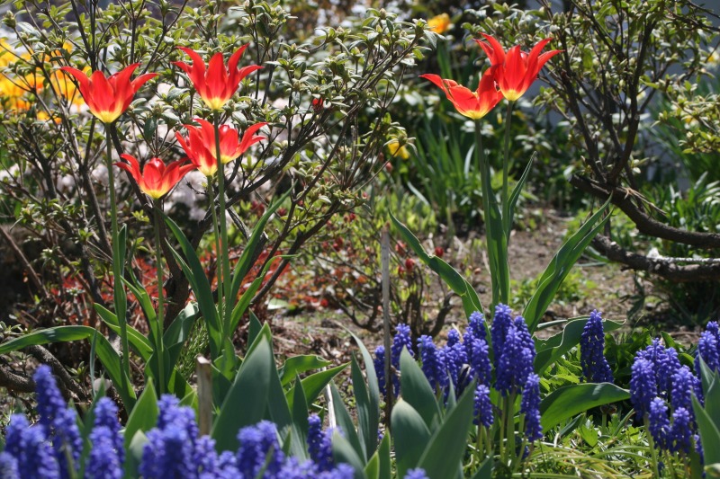 ファイル 122-1.jpg