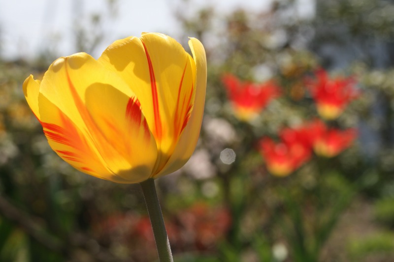 ファイル 122-2.jpg