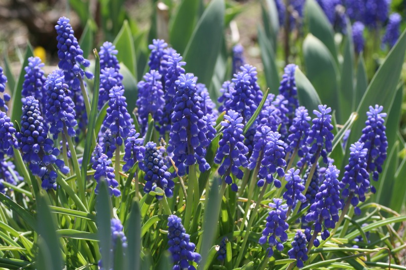 ファイル 122-3.jpg