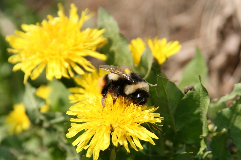 ファイル 123-2.jpg