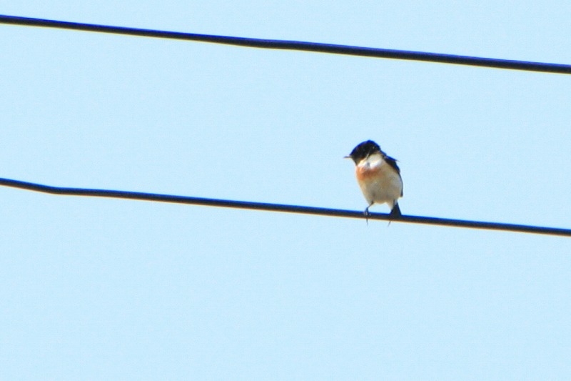 ファイル 124-3.jpg