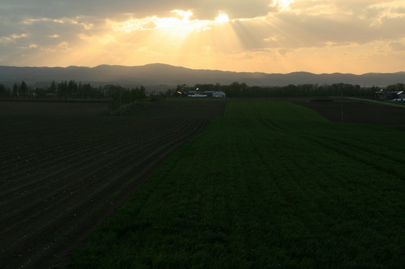 ファイル 125-1.jpg