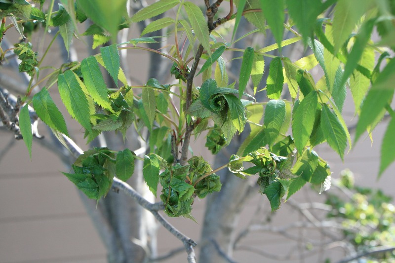 ファイル 125-2.jpg