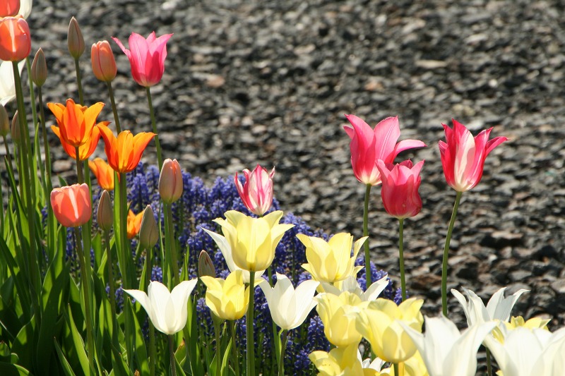 ファイル 126-1.jpg