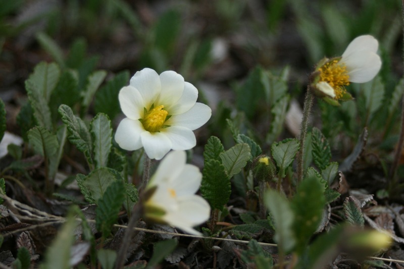 ファイル 127-2.jpg