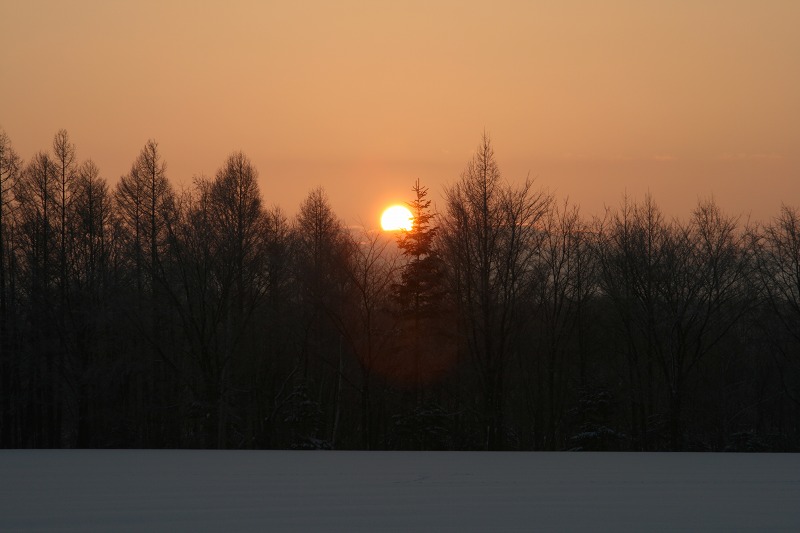 ファイル 13-1.jpg