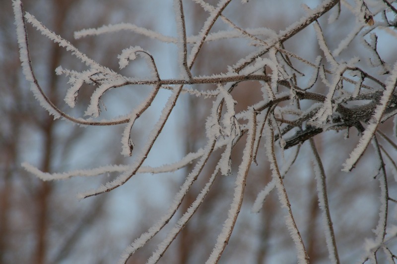 ファイル 13-3.jpg