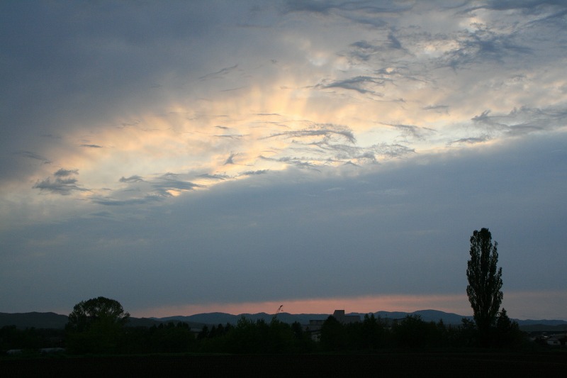 ファイル 131-2.jpg