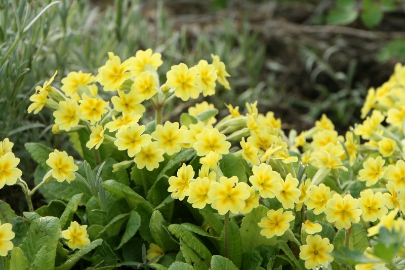 ファイル 132-1.jpg