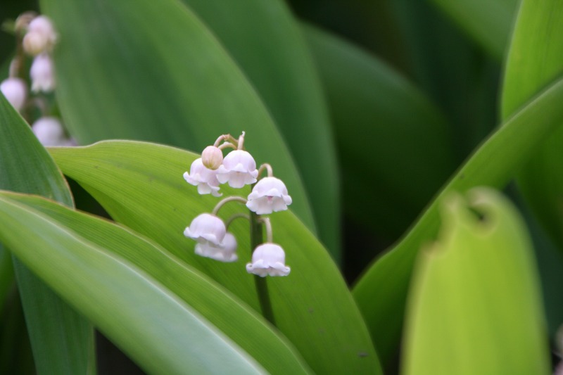 ファイル 132-3.jpg