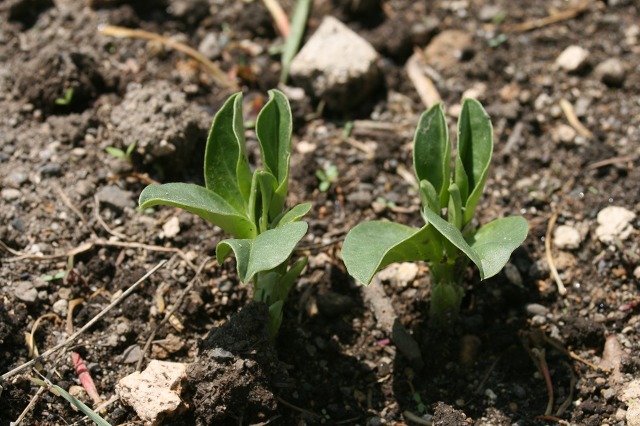 ファイル 134-2.jpg