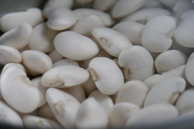 ファイル 135-1.jpg