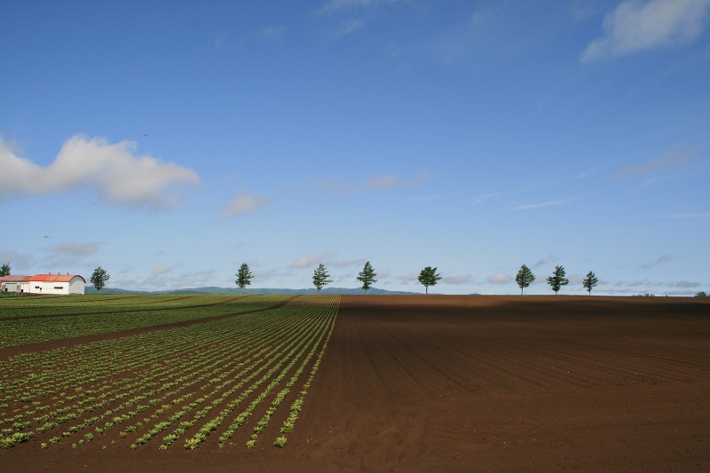 ファイル 136-1.jpg