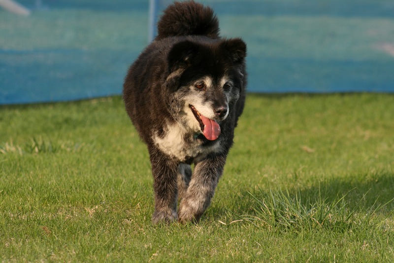 ファイル 136-2.jpg